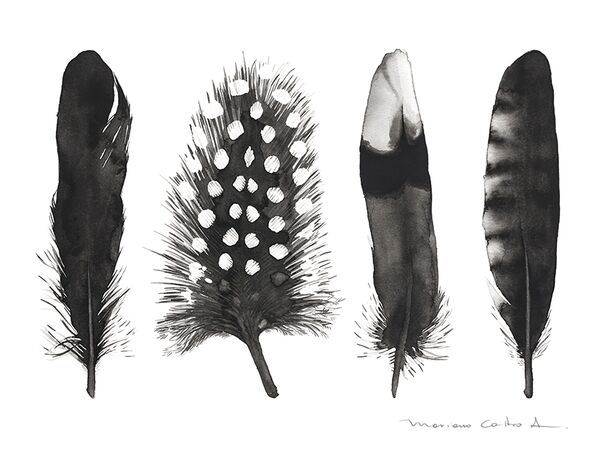 Plumas negras, acuarela