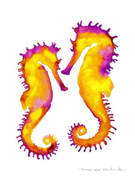 Caballitos de Mar, acuarela